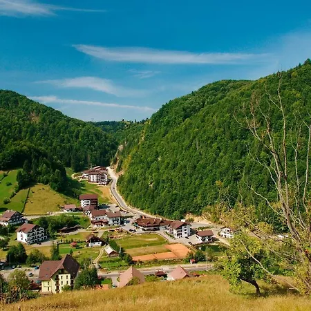 Cheile Gradistei Moieciu
