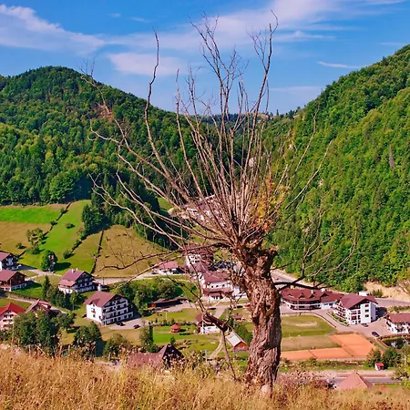 Cheile Gradistei Moieciu Resort Moeciu De Sus